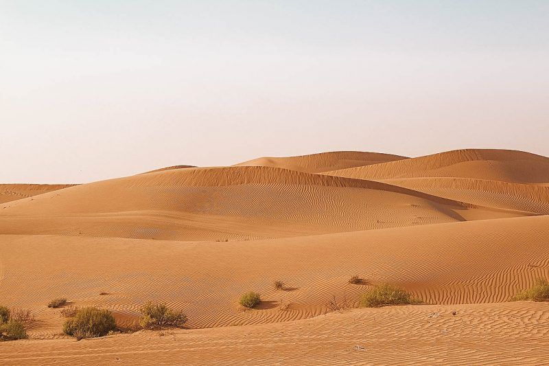 Desert Things Do In Abu Dhabi