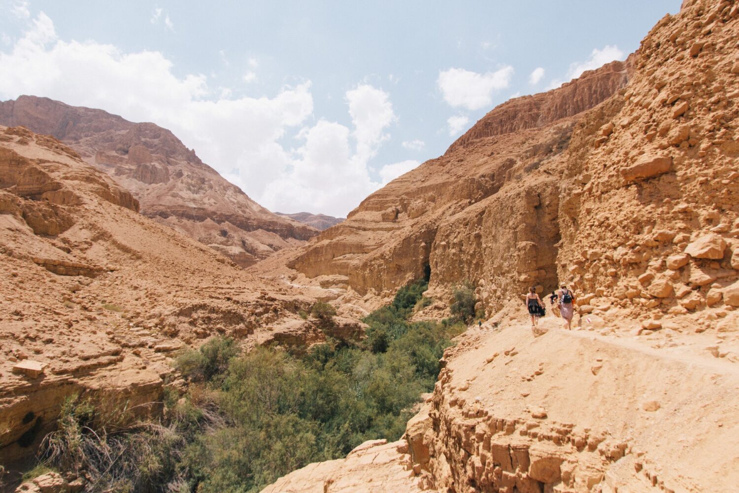 Ein Gedi Israel - The Complete Guide 2023