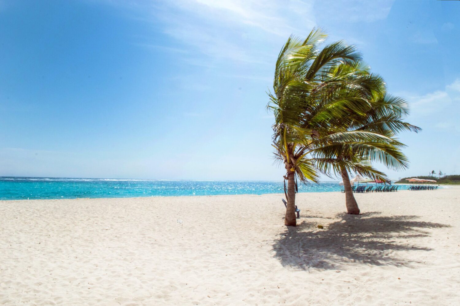 Beaches In Qatar