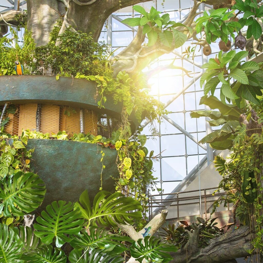 The Green Planet Indoor Attractions In Dubai