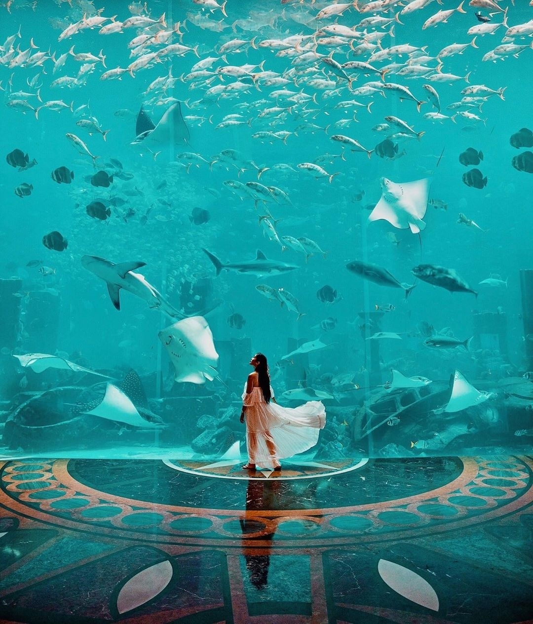 Underwater Hotel Dubai Lost Chamber