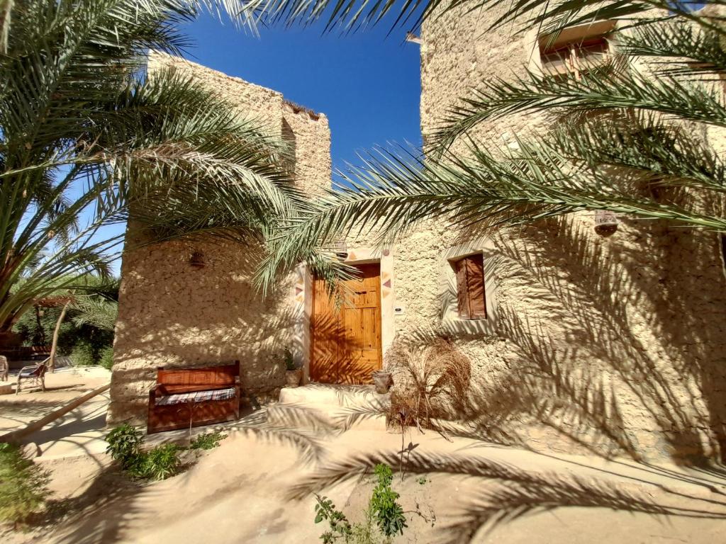 Guesthouse Sleep In Siwa Oasis Egypt