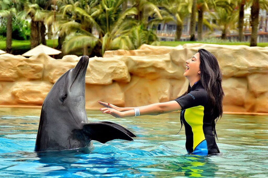 Underwater Hotel Dubai Dolphin Bay