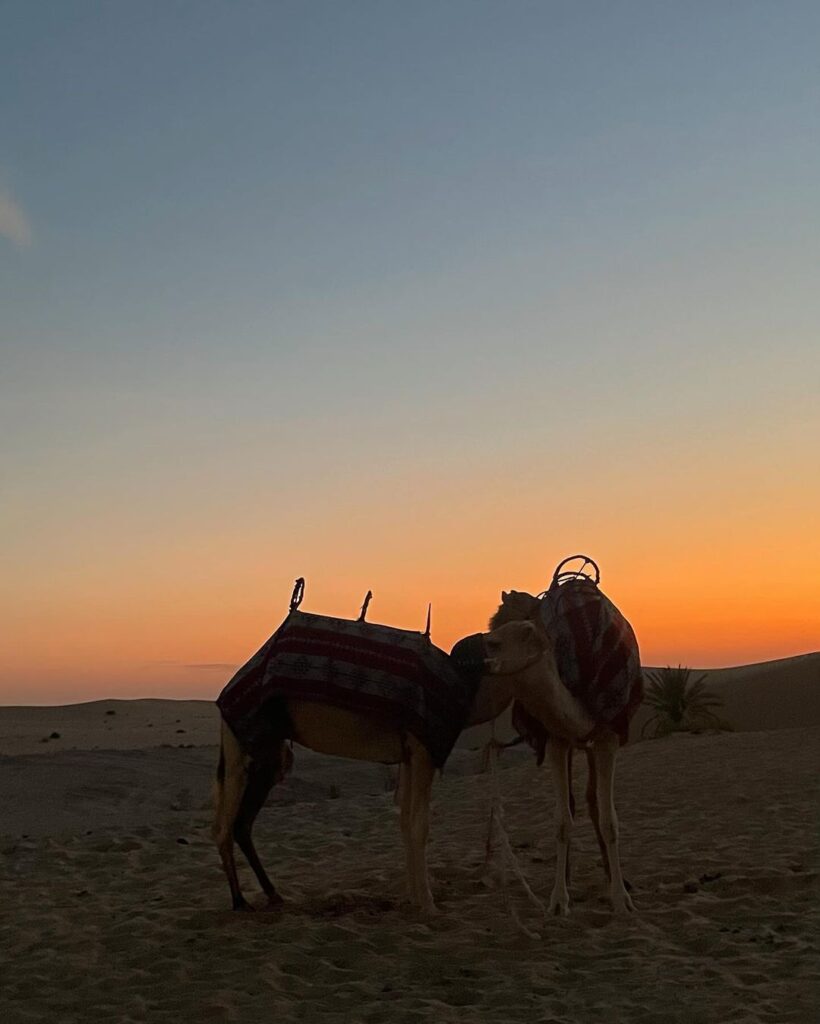 Desert Safari From Dubai