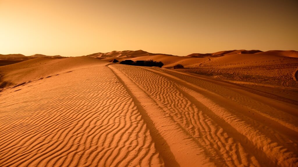 Best Things To Do In Ajman Desert Safari