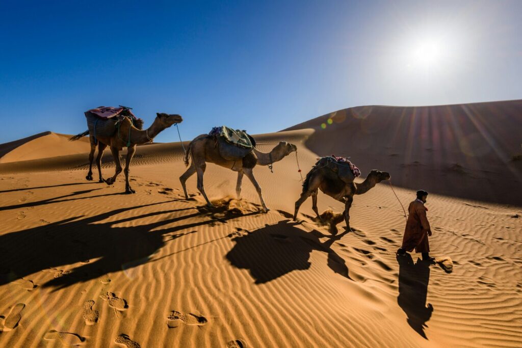 Agafay Desert In Morocco
