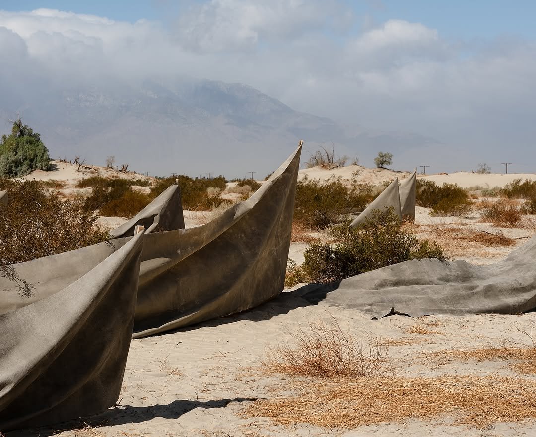 Contemporary Middle Eastern Artists