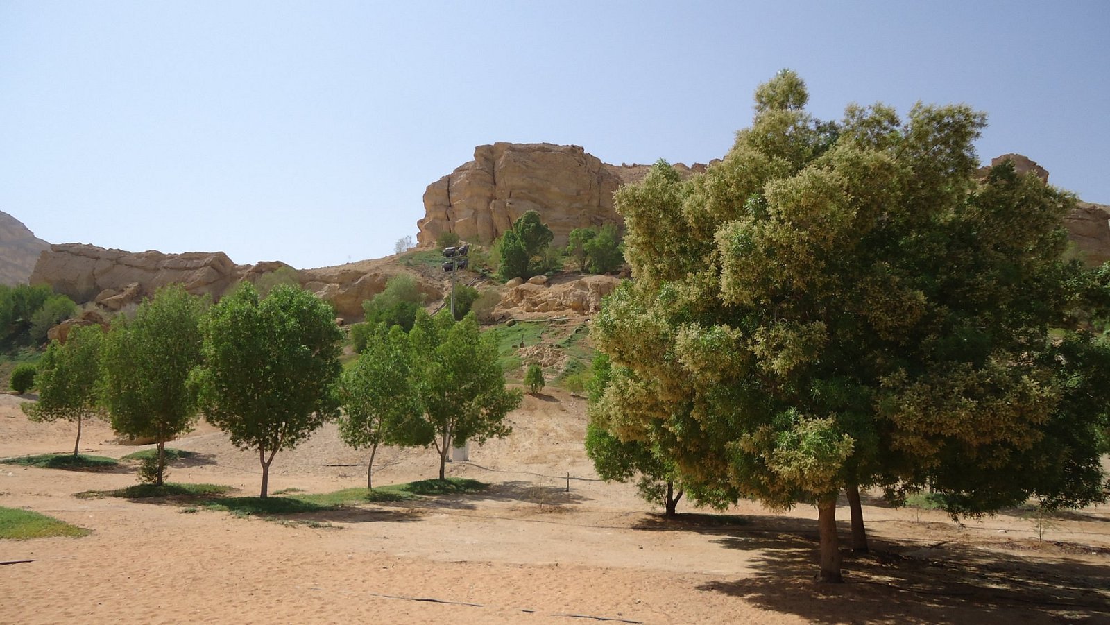 Green Mubazzarah