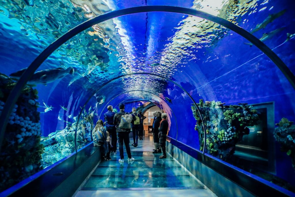 Viasea Aquarium