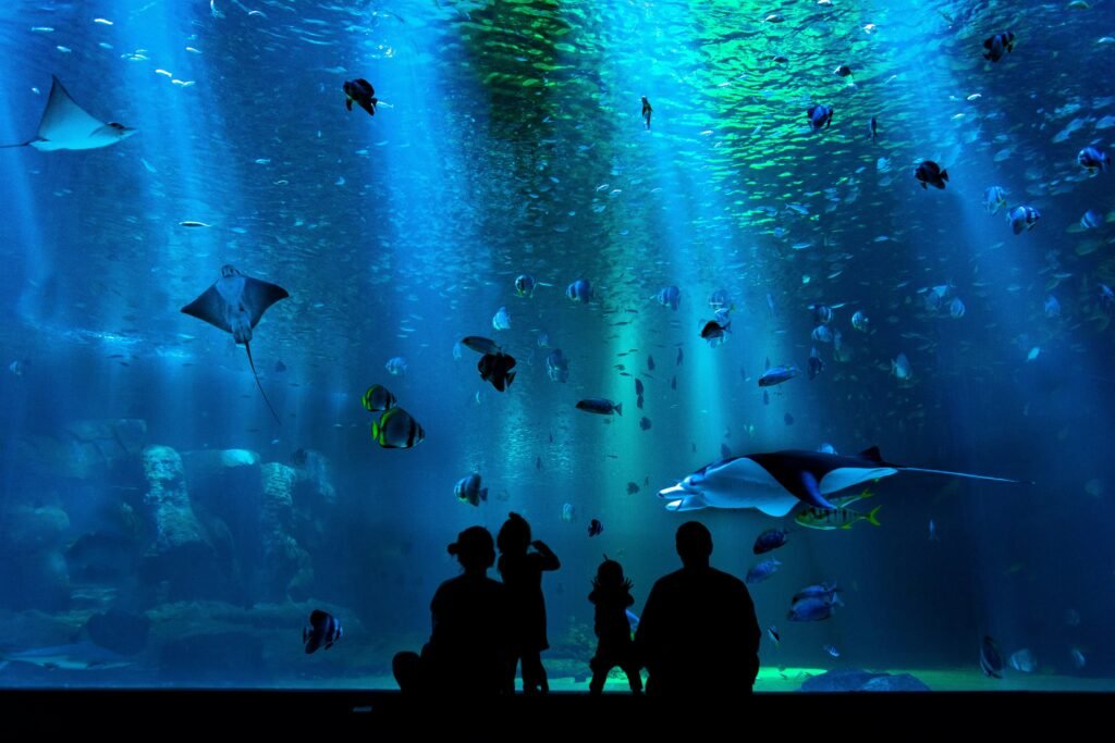 Emaar Aquarium