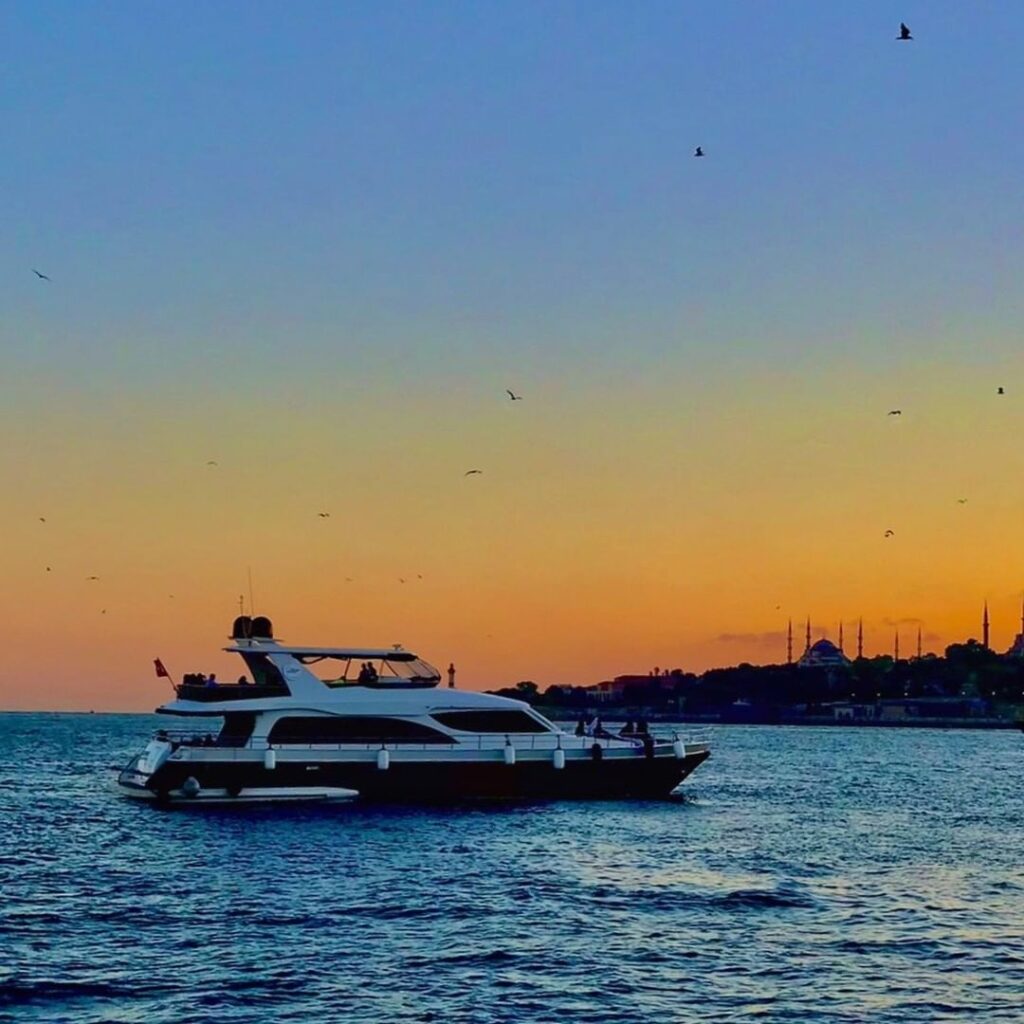 A Private Cruise On The Bosphorus
