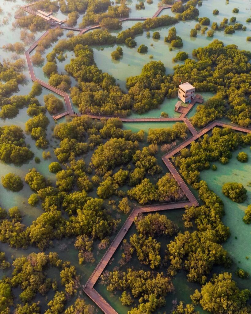 Jubail Mangrove Park