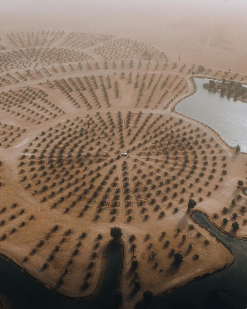 Al Qudra Lake 