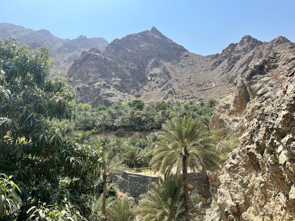 Wadi Shees Trail