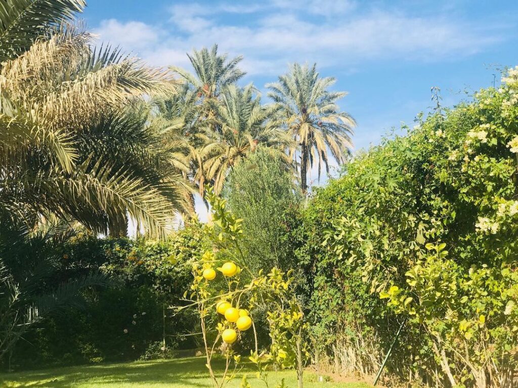 Cascade Garden Tetouan