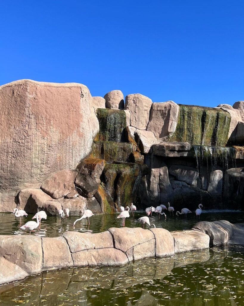 Eskişehir Zoo