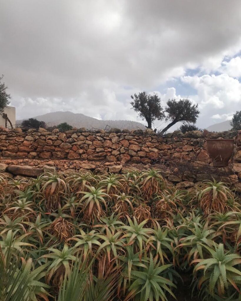  Berberlands Ecotourism Essaouira