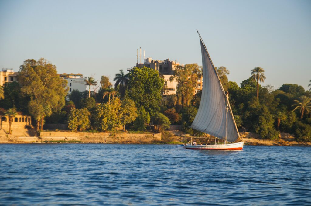  Nile Cruise