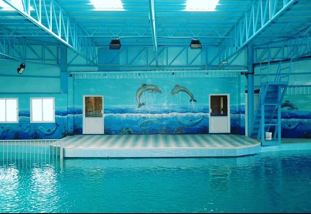 Dolphin Resort Bahrain