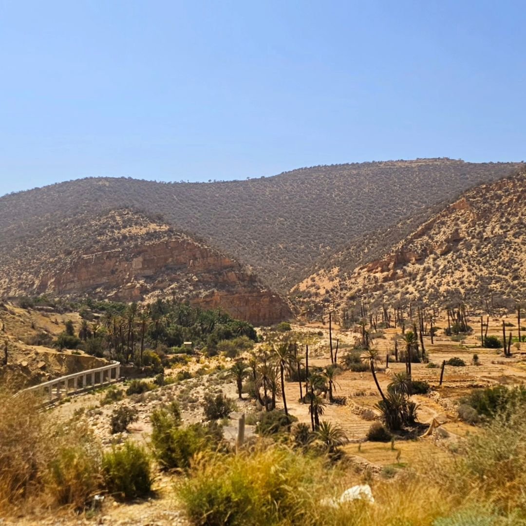  Paradise Valley