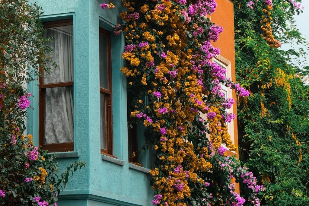 Kadikoy Istanbul