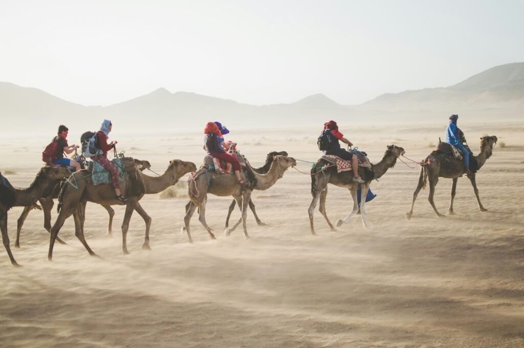 Camel excursion Atlas Mountains Morocco