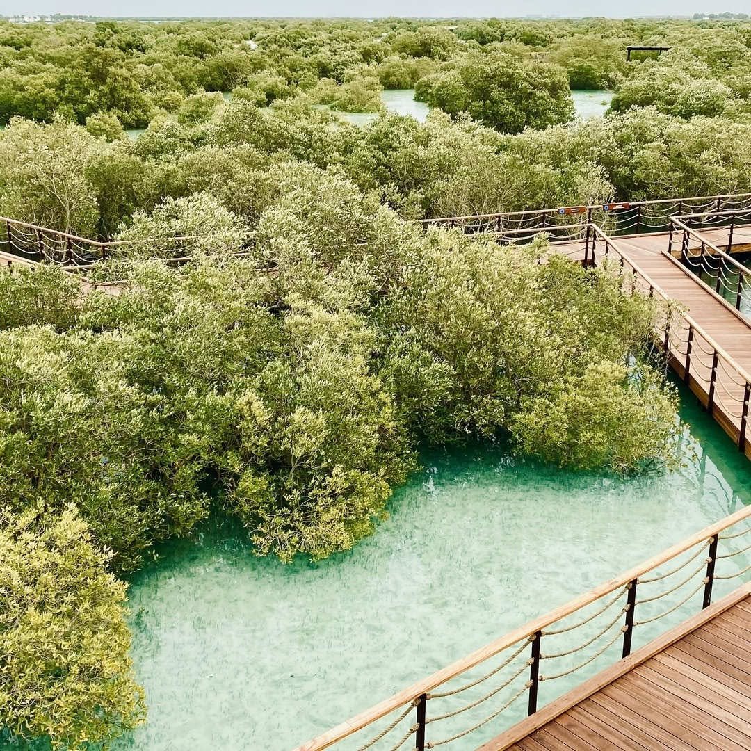 Mangrove National Park