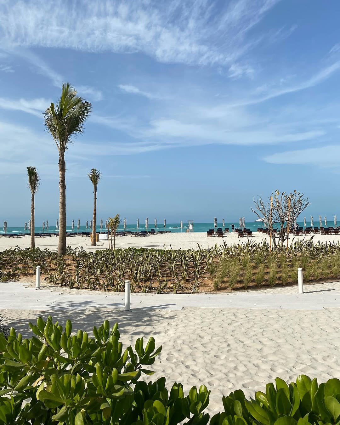 Saadiyat Island