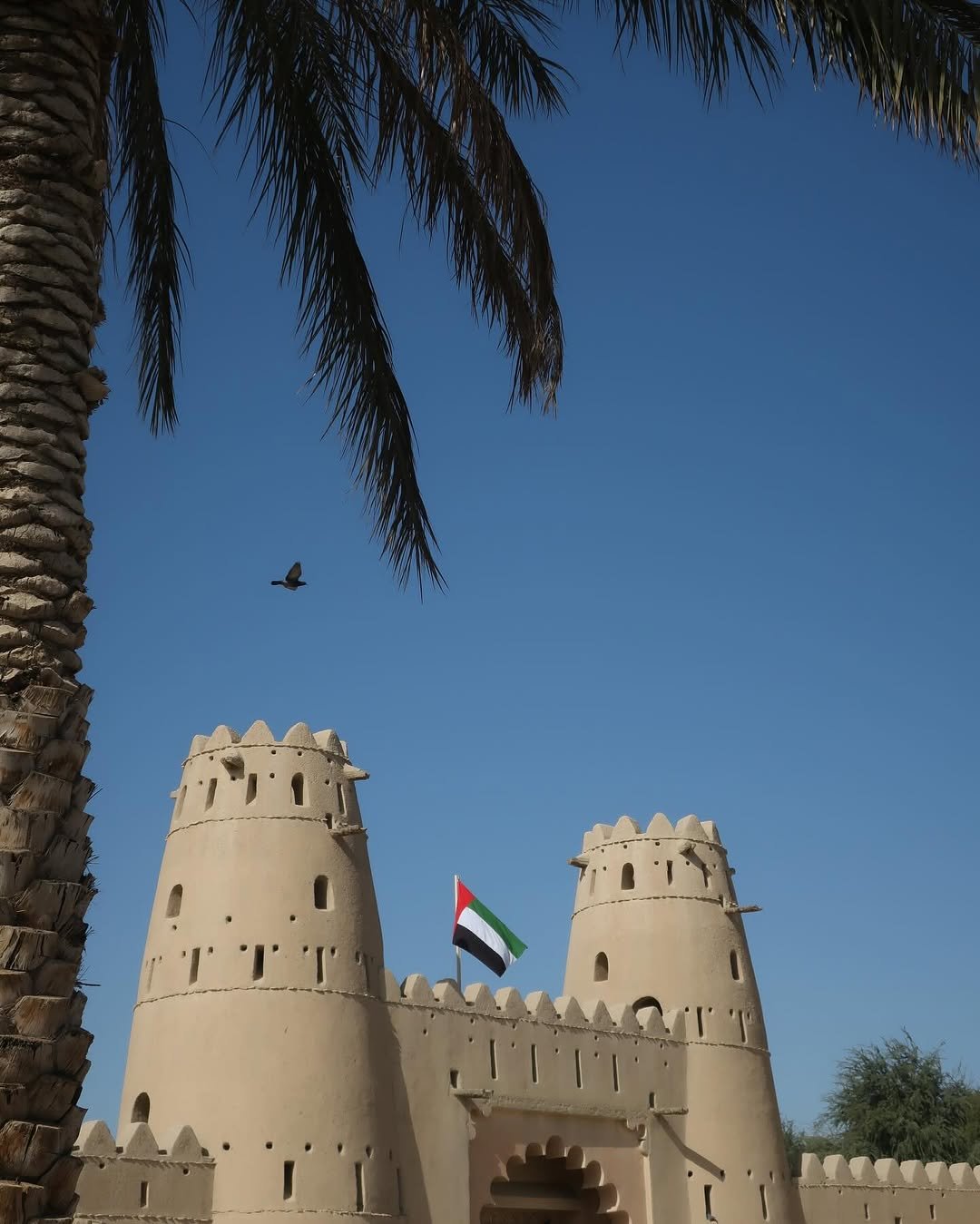 Al Jahili Fort