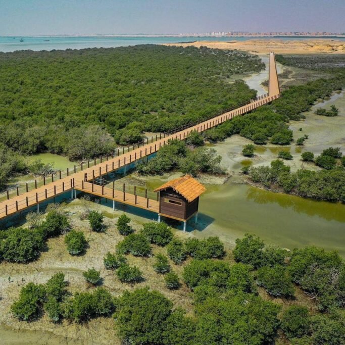 Hidden Gems in Qatar