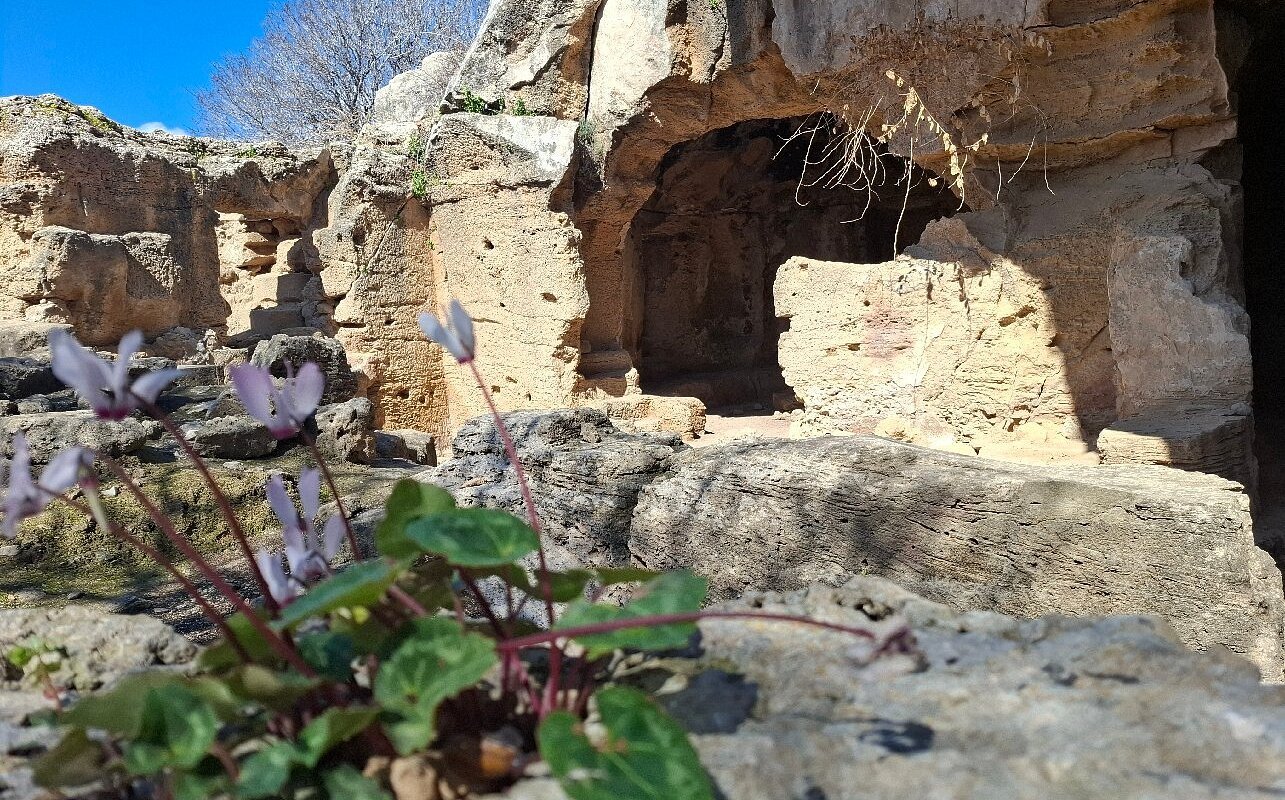 Archaeological Site of Nea Paphos