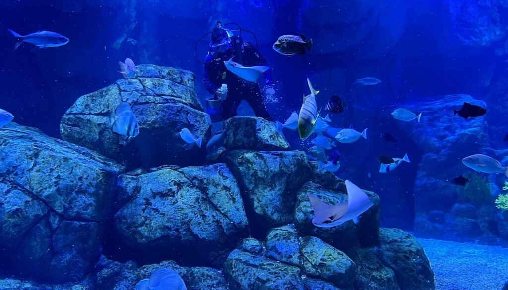 Marassi Aquarium & Underwater Zoo Bahrain