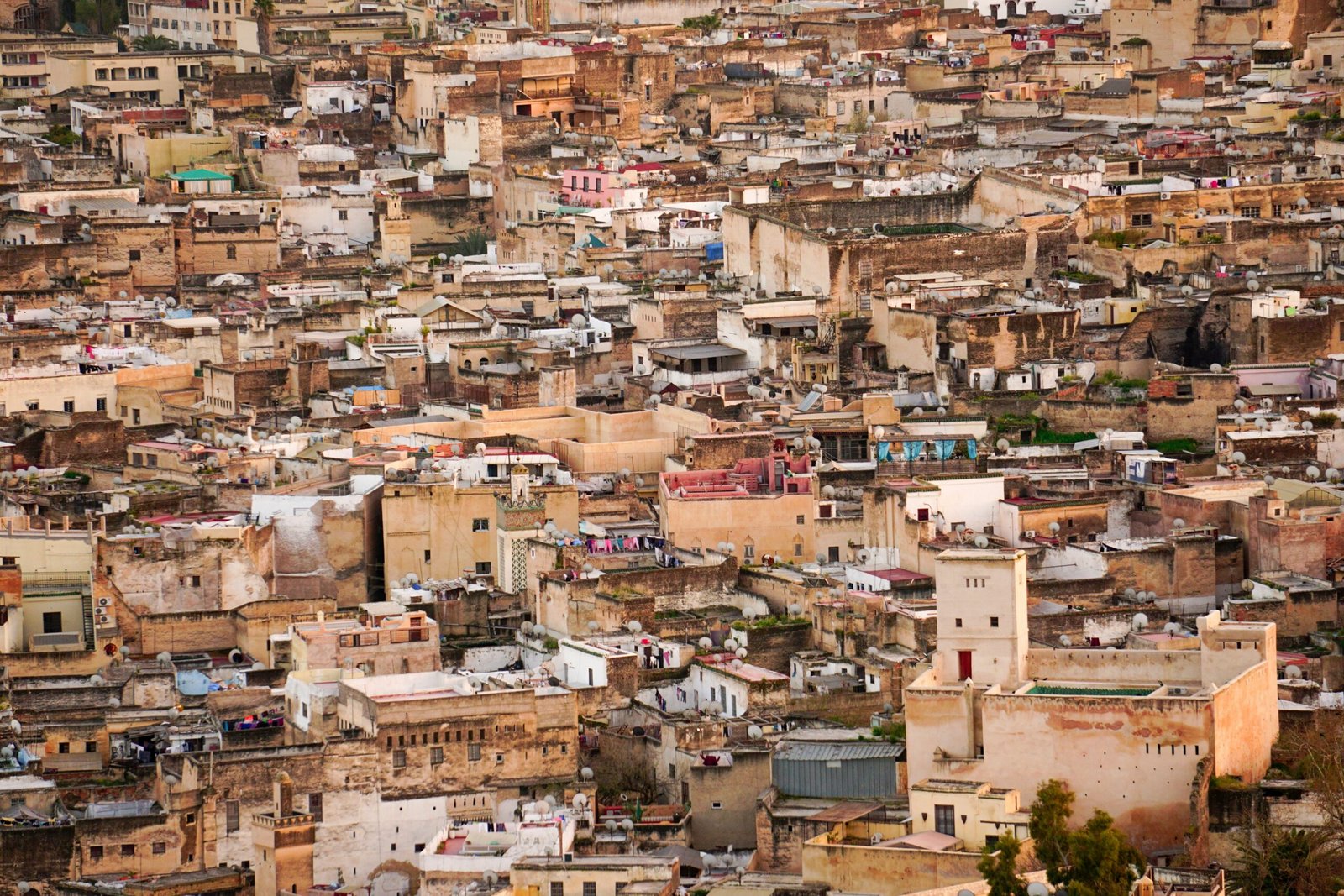 Fez Itinerary