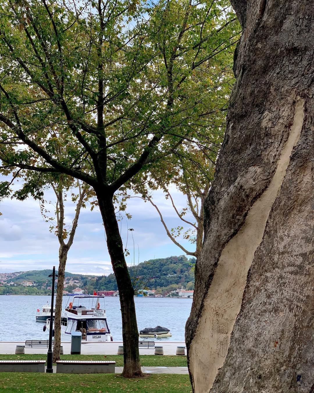 Bebek Park
