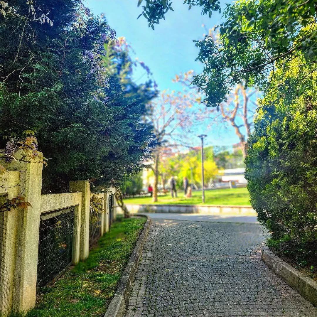 Aykut Barka Earthquake Park