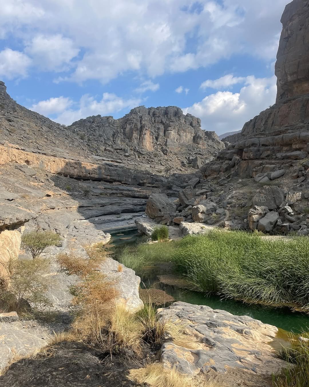 Wadi Damm