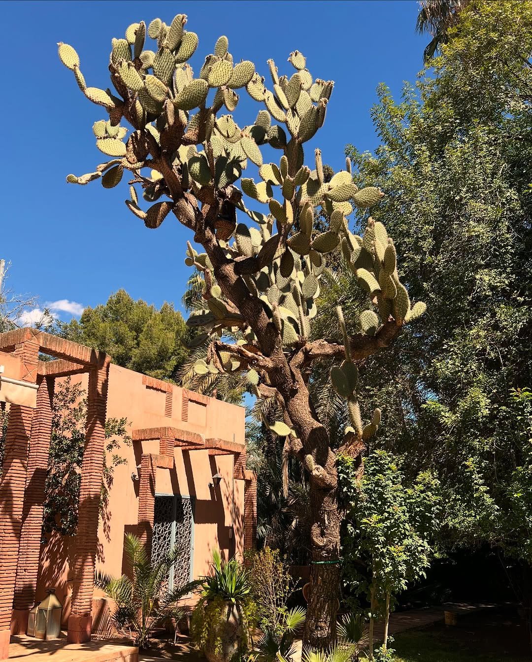 Hivernage Marrakech