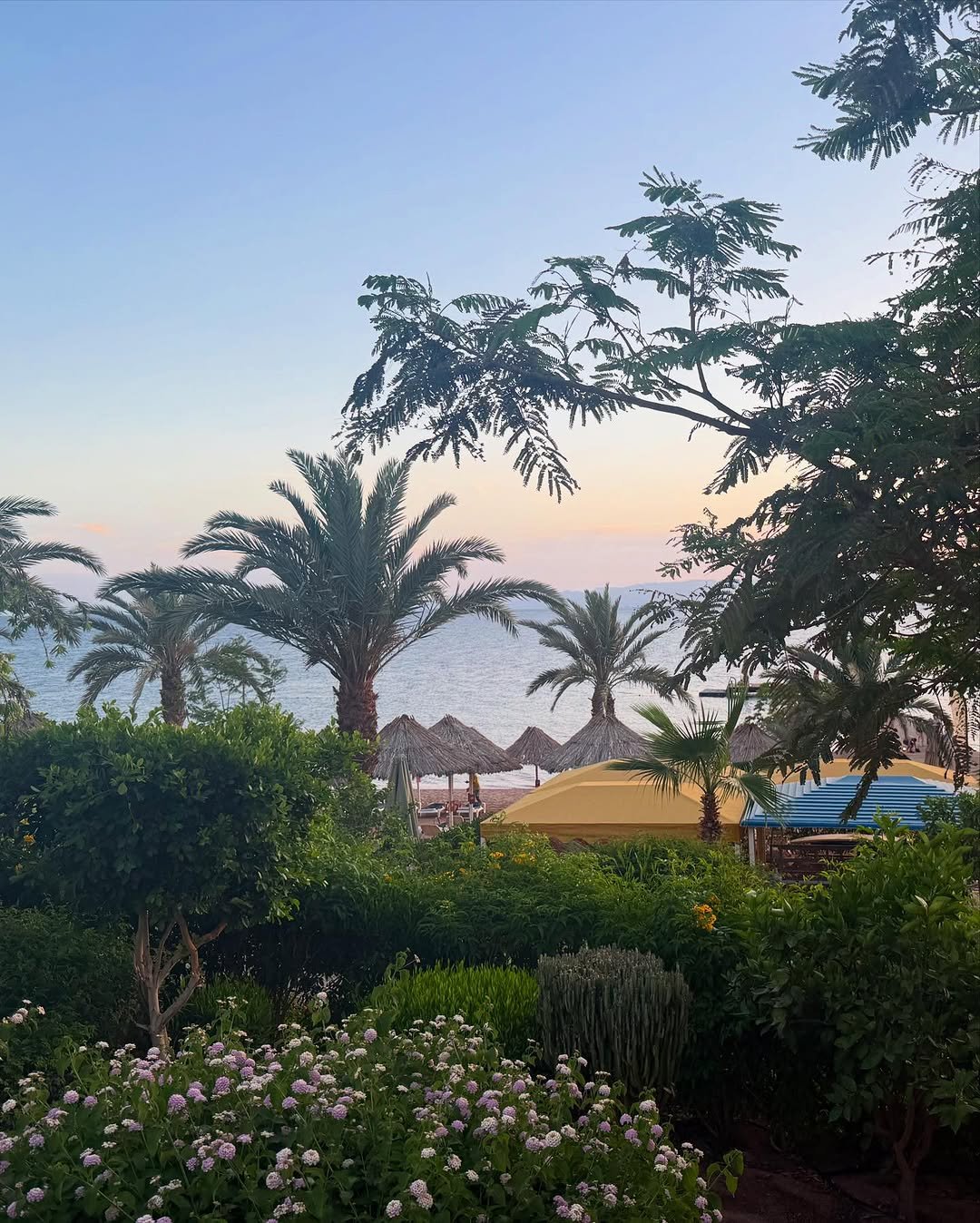 Berenice Beach Club