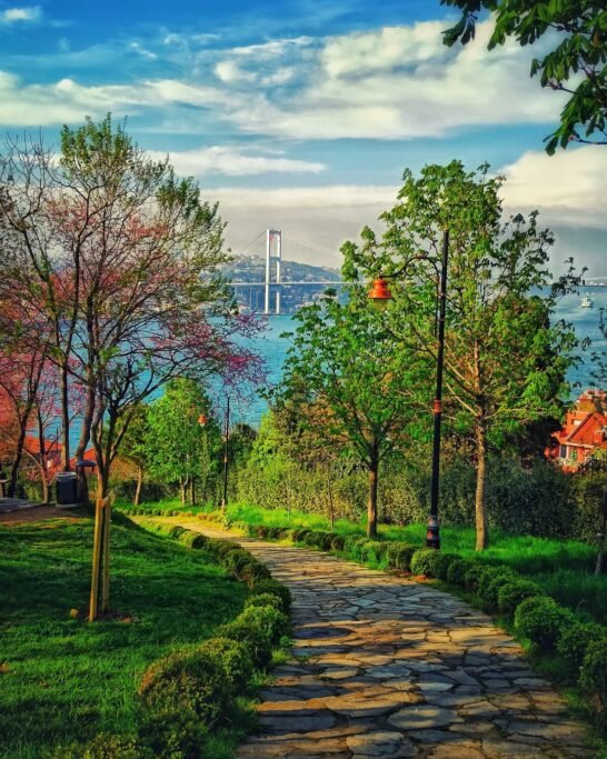 Fethi Paşa Grove