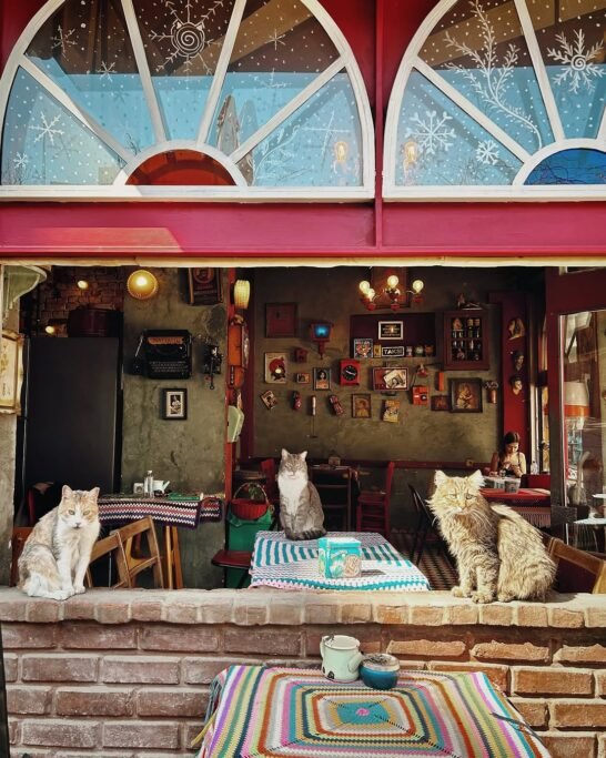 Cafe Naftalin K. Balat