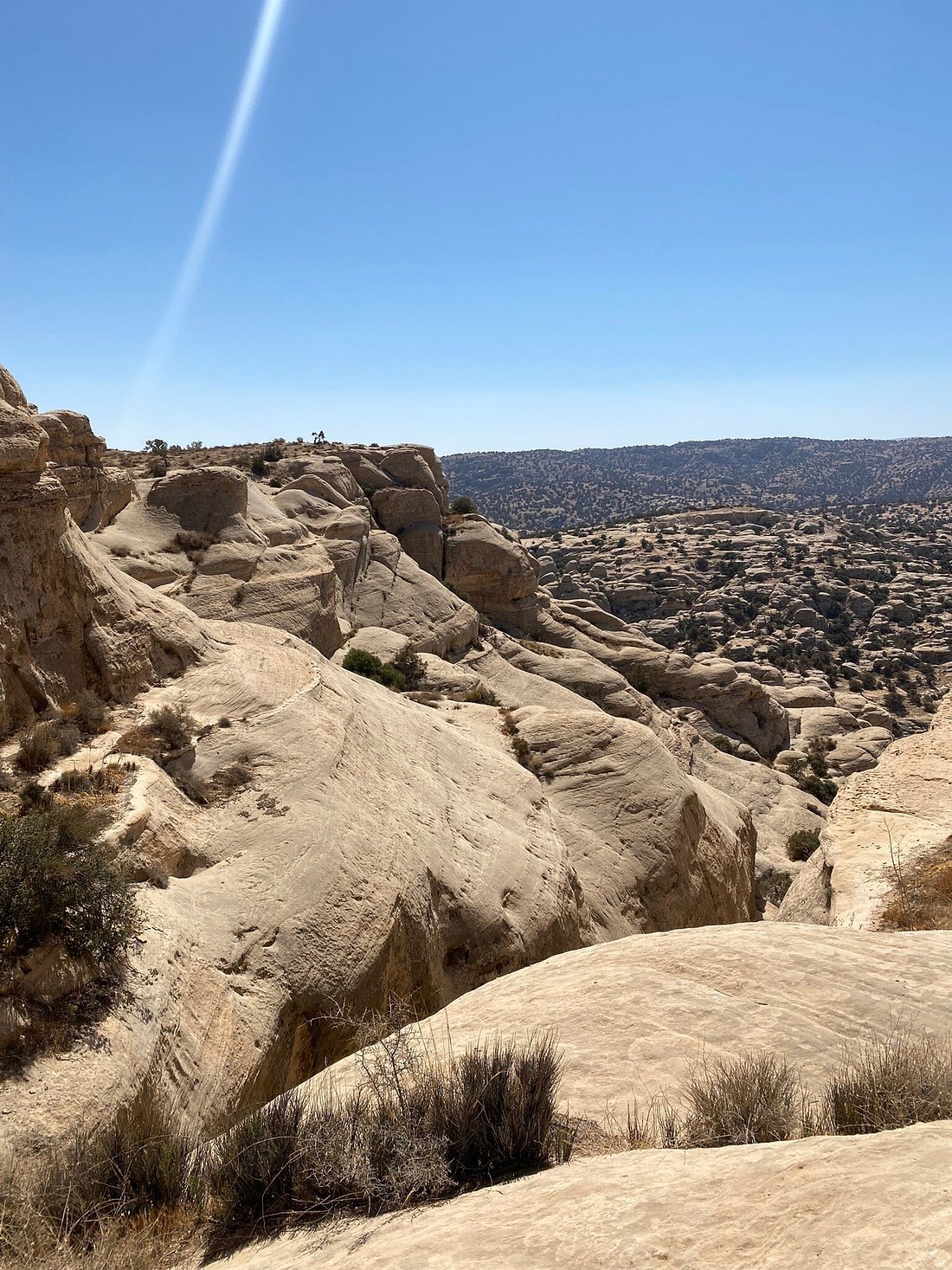 Dana Biosphere Reserve Jordan