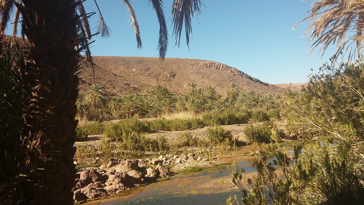 Fint Oasis