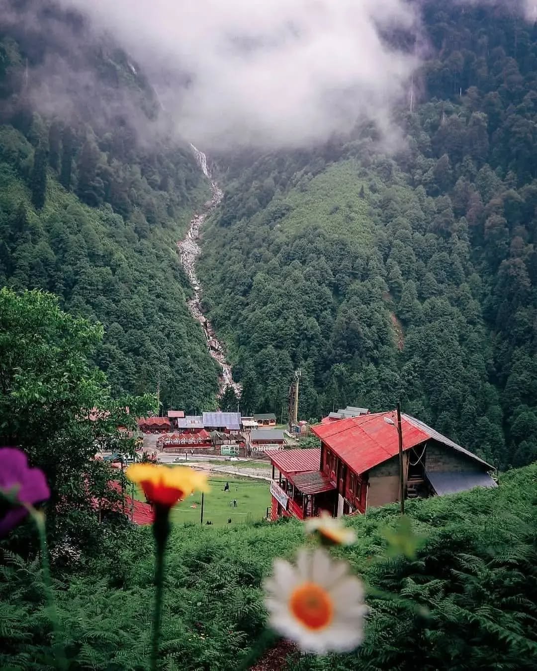 Ayder Plateau, Rize