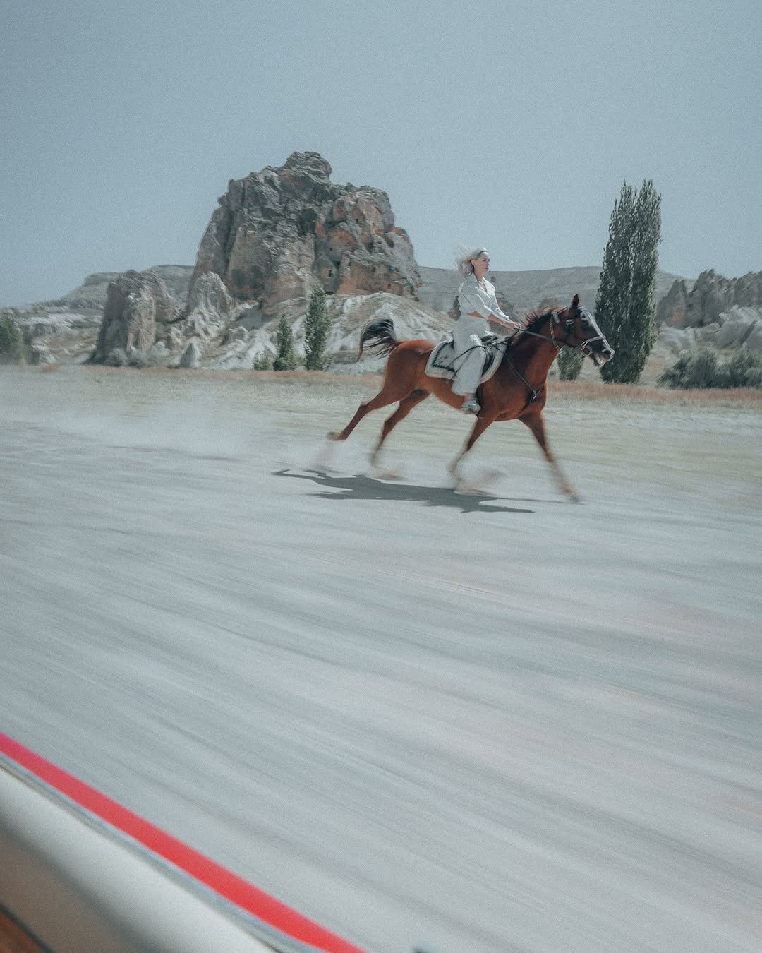 Horseback Safari