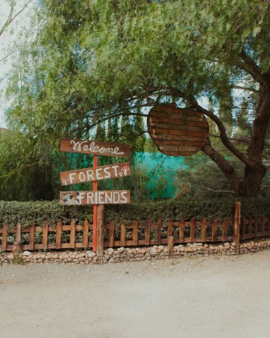 what to do in Cyprus with kids