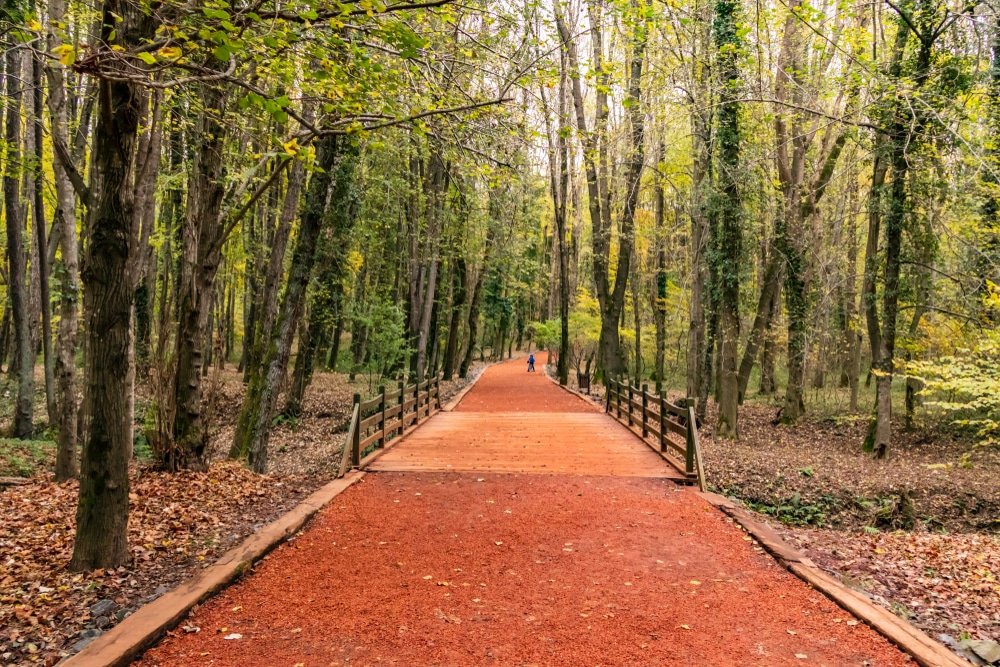 Belgrad Forest