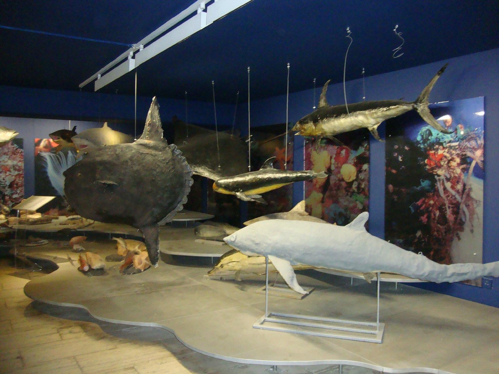 AYIA NAPA THALASSA MUNICIPAL MUSEUM