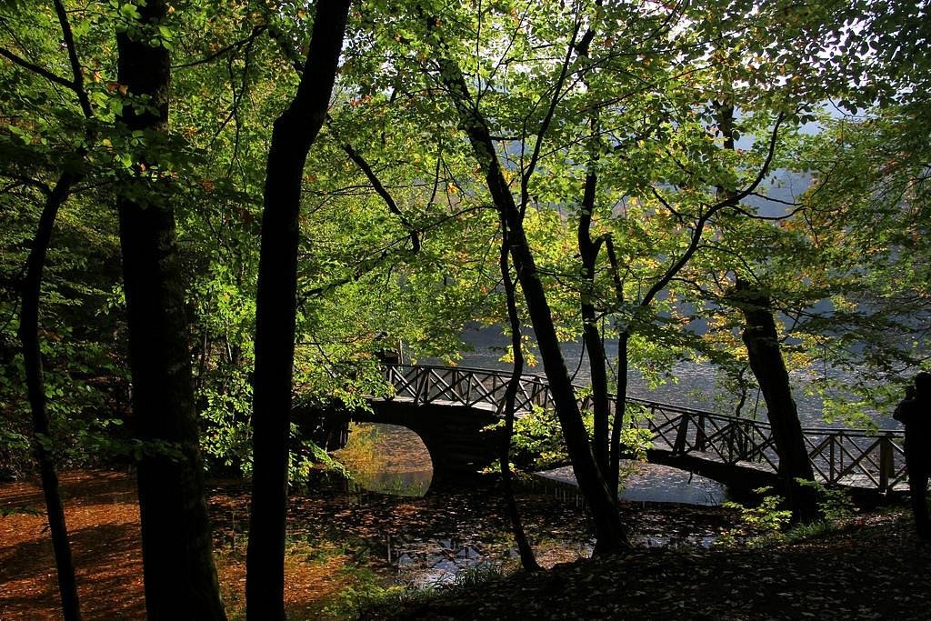 Travel photo from day trips from Ankara