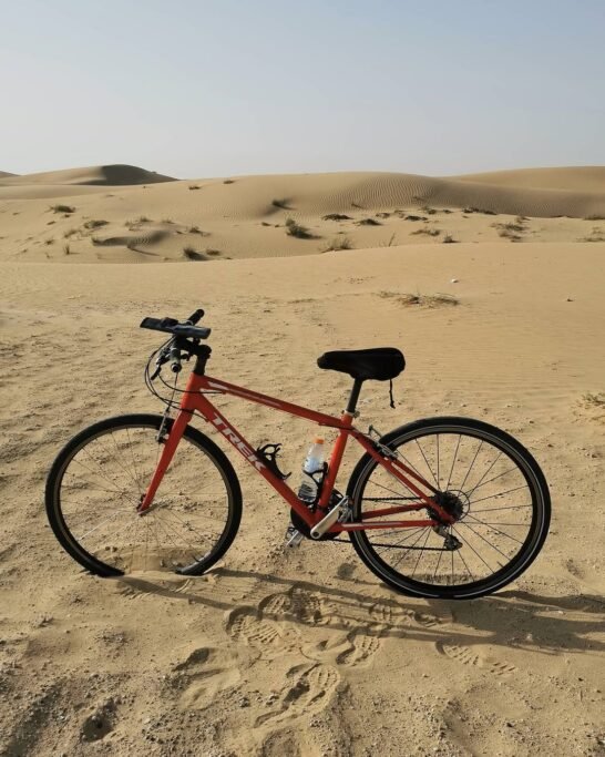 Al Qudra Cycle Path - Sports in Dubai
