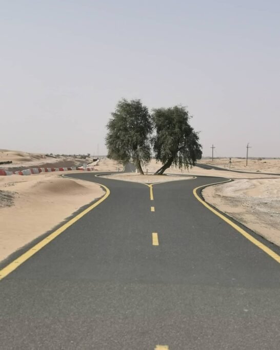 Al Qudra Cycle Path - Sports in Dubai